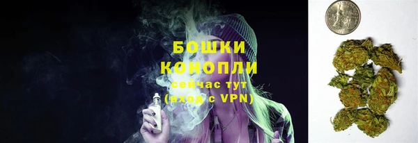 ПСИЛОЦИБИНОВЫЕ ГРИБЫ Белокуриха