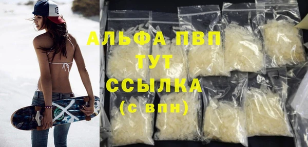 ПСИЛОЦИБИНОВЫЕ ГРИБЫ Белокуриха