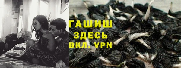ПСИЛОЦИБИНОВЫЕ ГРИБЫ Белокуриха