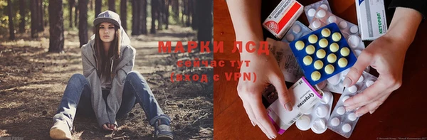 крисы Беломорск
